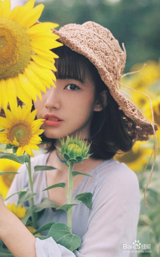 人与向日葵怎么拍照