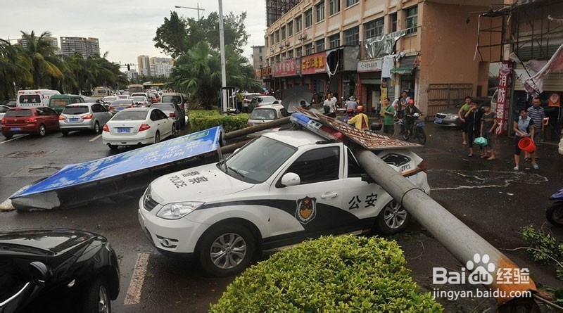 台风来了怎么办