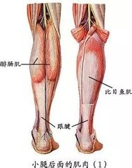 运动中小腿抽筋了怎么办