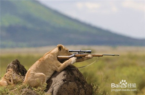 毕业季:9条行走社会的人生经验献给你!