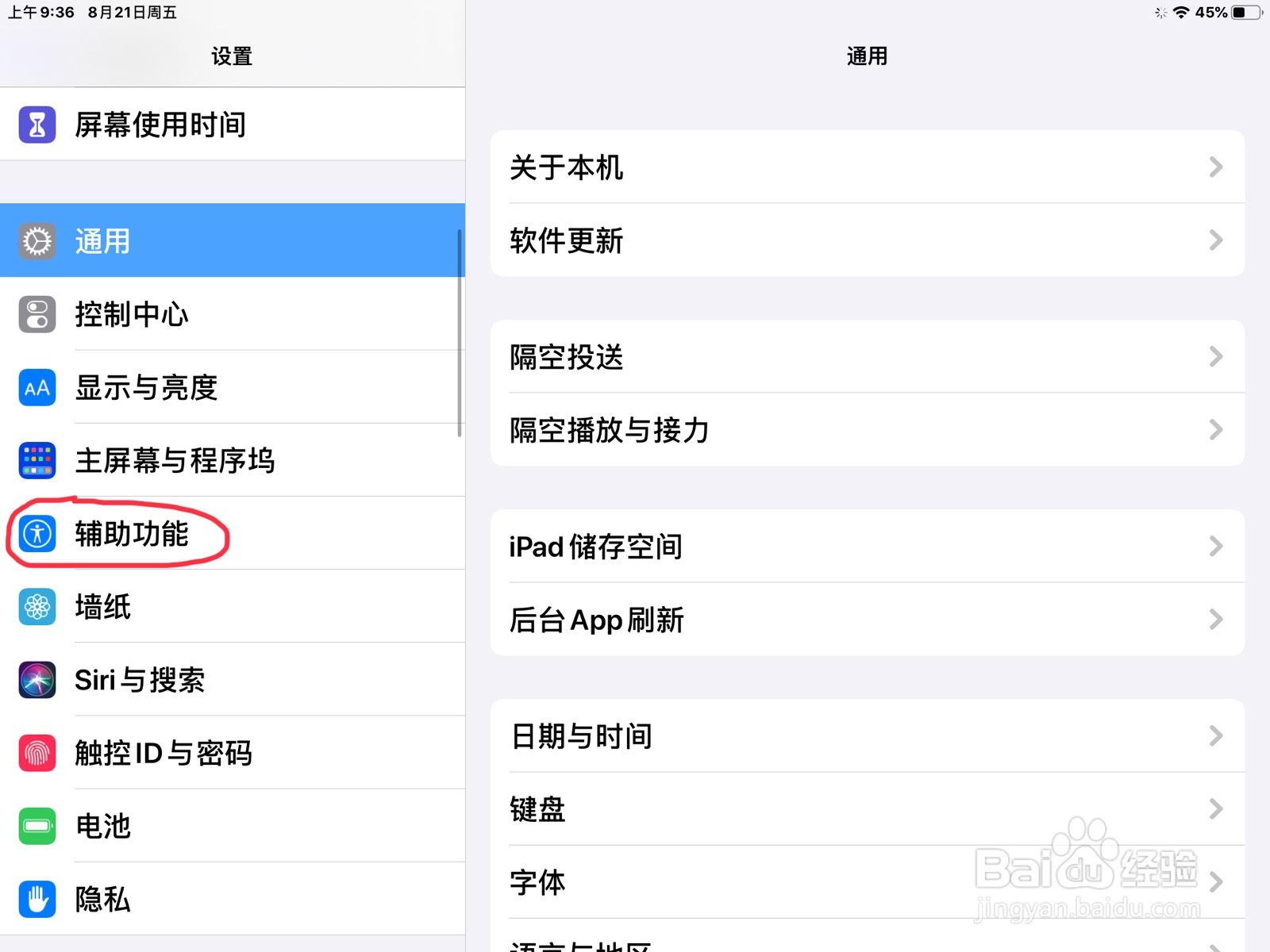 iPad怎么在旁白设置已选择自动填充建议的预览