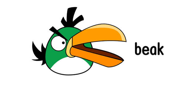问下bill和beak有什么区别不胜感激~