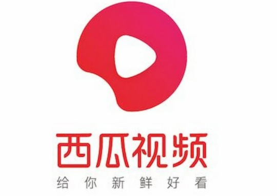西瓜视频会自动续费会员吗