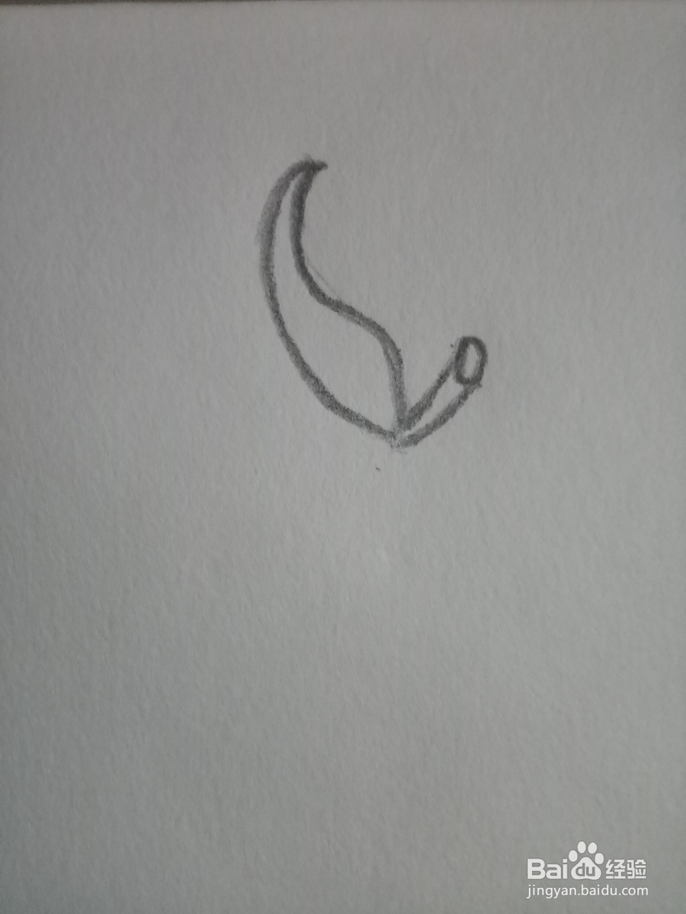 简笔画：一个大芒果