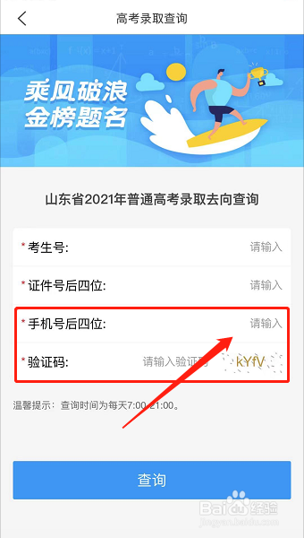 山东投档状态如何查询