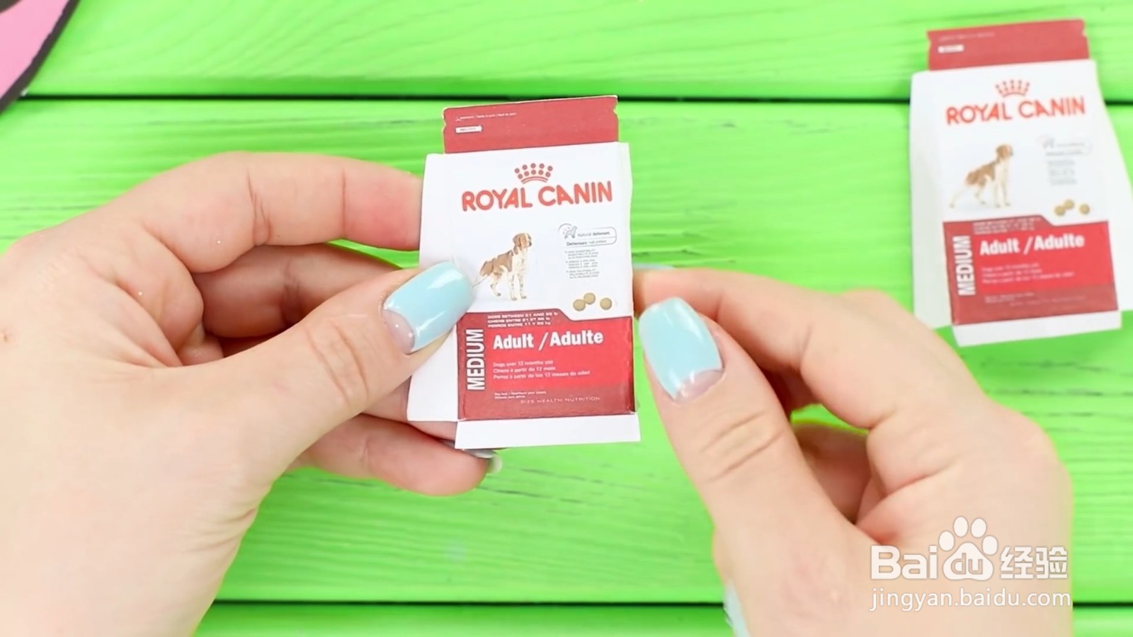 如何给宠物狗狗diy美味的食物？