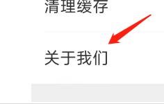 如何快速更新芒果TV软件