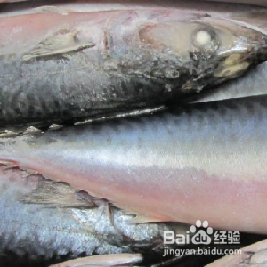 夏天吃什么鱼比较好