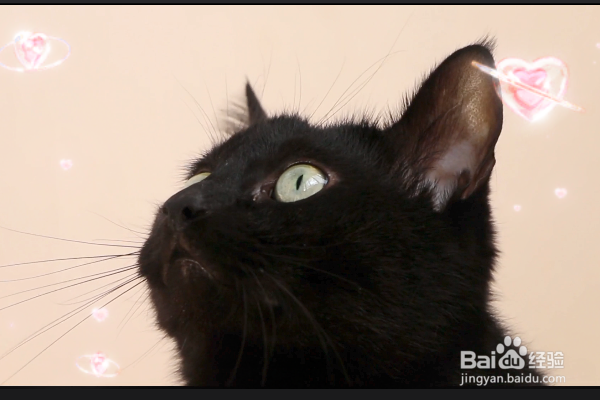 剪映电脑版怎么给视频添加少女心特效