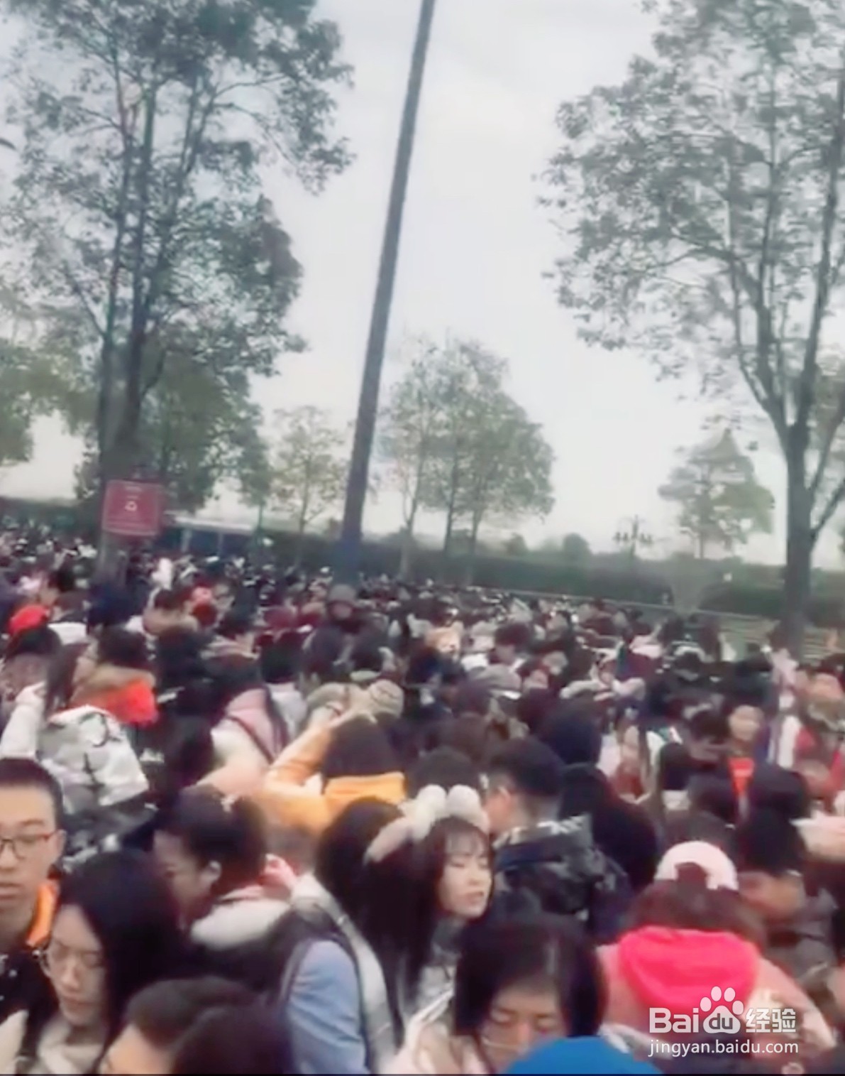 如何一天轻松搞定迪士尼热门项目