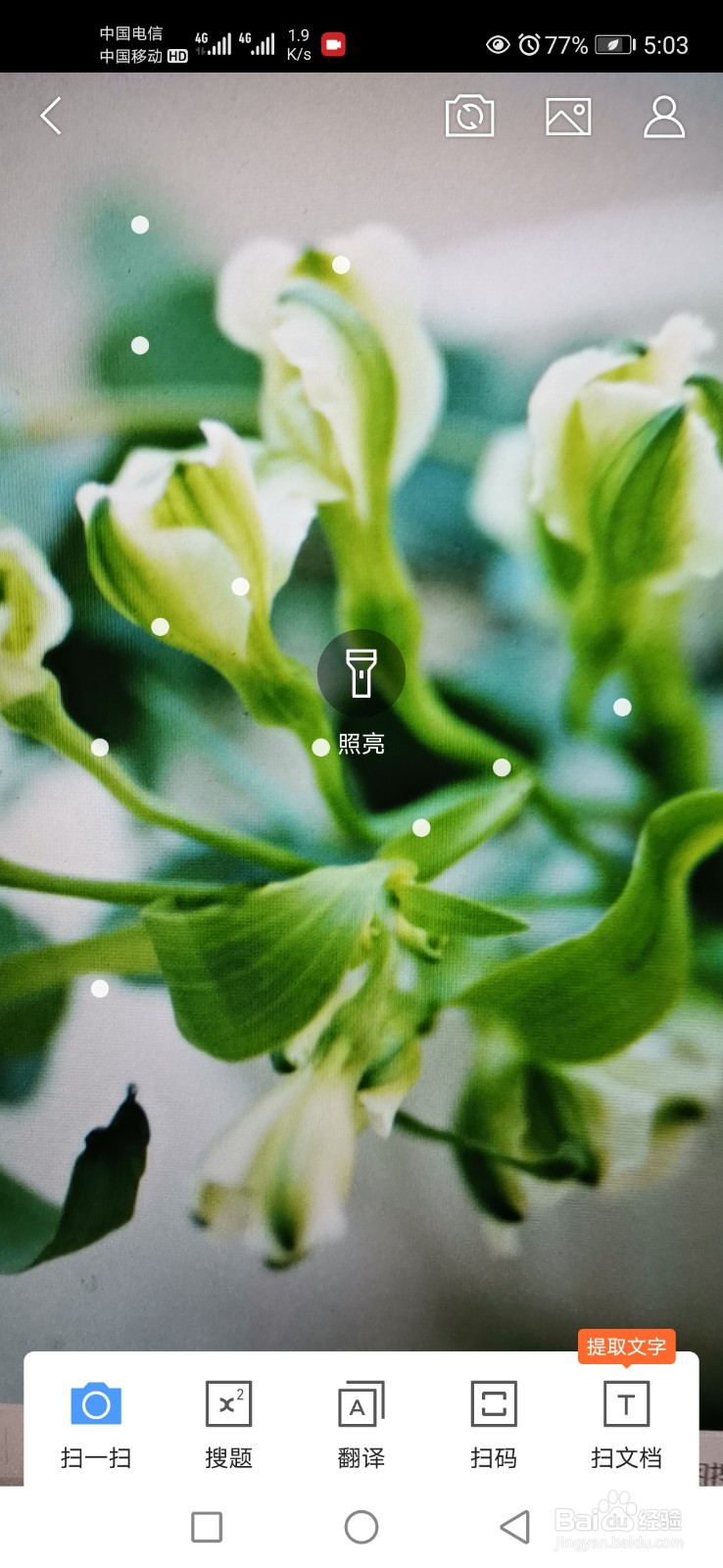 如何用QQ浏览器进行植物识别