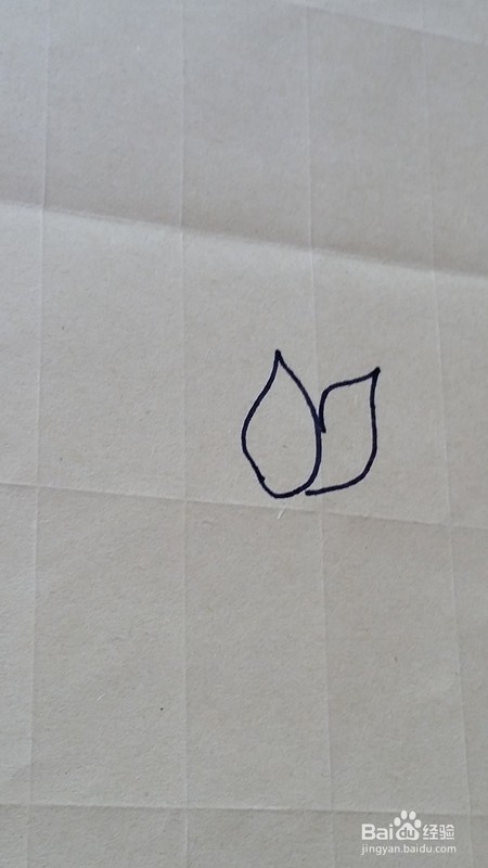 简笔画-----荷花的画法