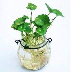 办公场所如何布局