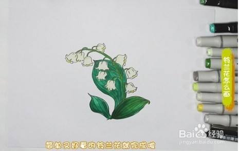 怎麼畫鈴蘭花簡筆畫