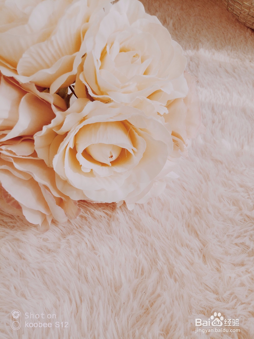 春节将至，教你用koobee S12拍出霸屏照！