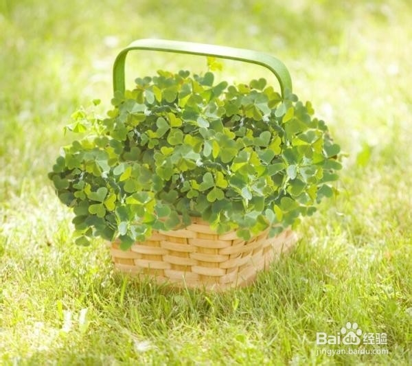 我们无能为力的事有哪些呢？