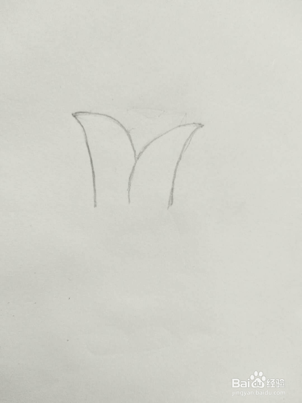 简笔画玫瑰花怎么画呢