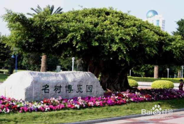 阳江周边公园广场有哪些