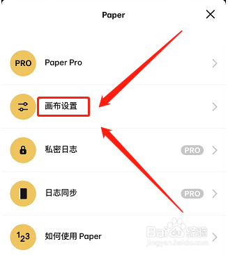 paper如何开启连同背景颜色一起导出功能
