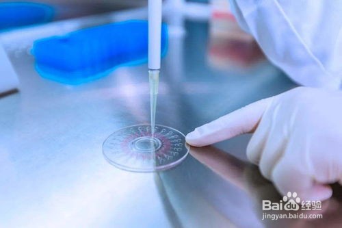 北京疫情爆发，如果发烧了怎么办？