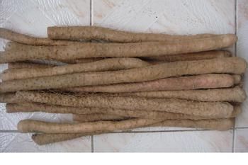 美味减肥食品大放送