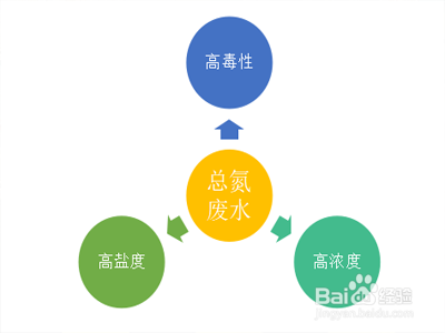 如何选择高效的反硝化脱氮菌