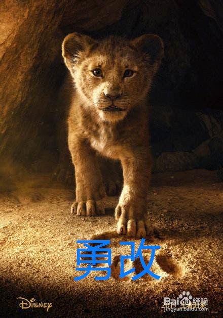 狮子王告诉我们怎样的人生道理