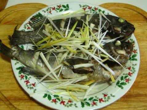 清淡营养美味清蒸黑头鱼