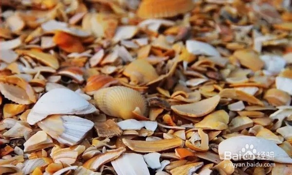 童话美景不只存在书中，看山东现实中的童话影像