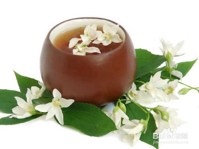 茉莉花的功效有哪些？