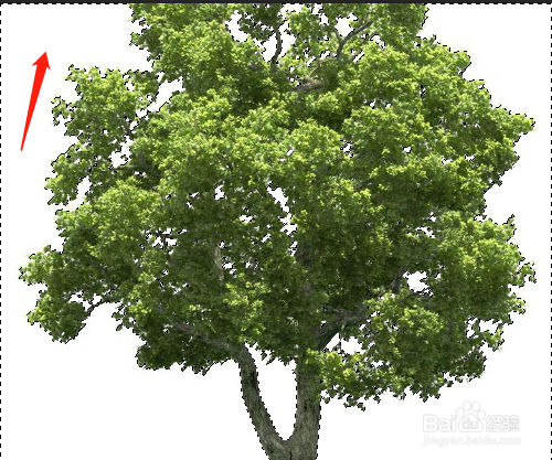 PS怎样换图像的白色背景