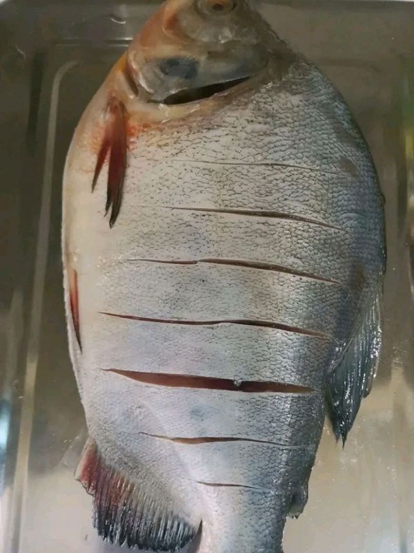 红烧鲳鱼炖豆腐