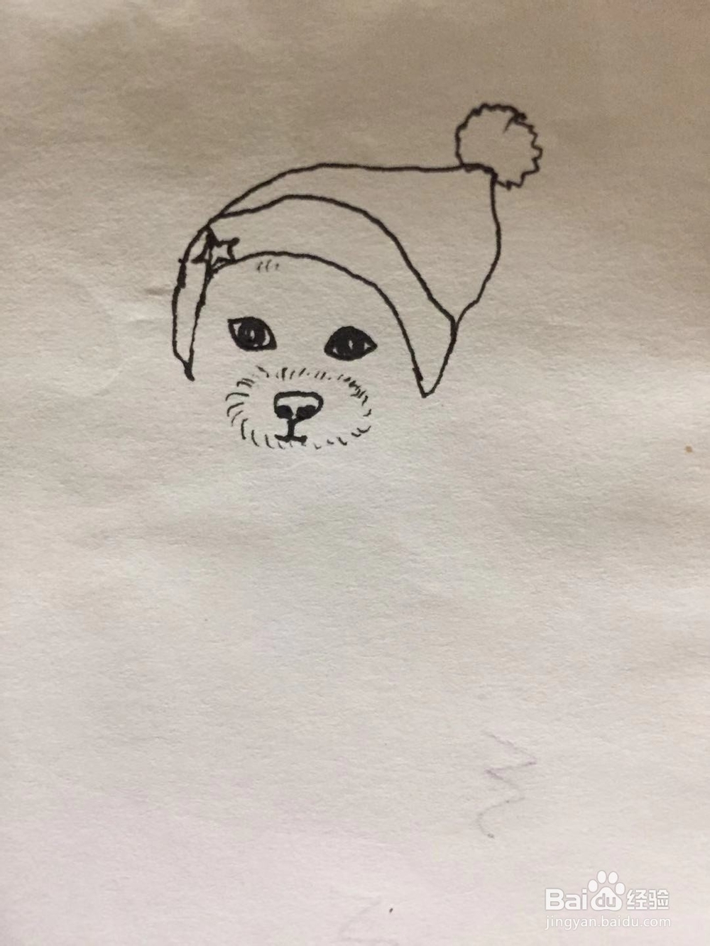 插画教程之圣诞泰迪狗