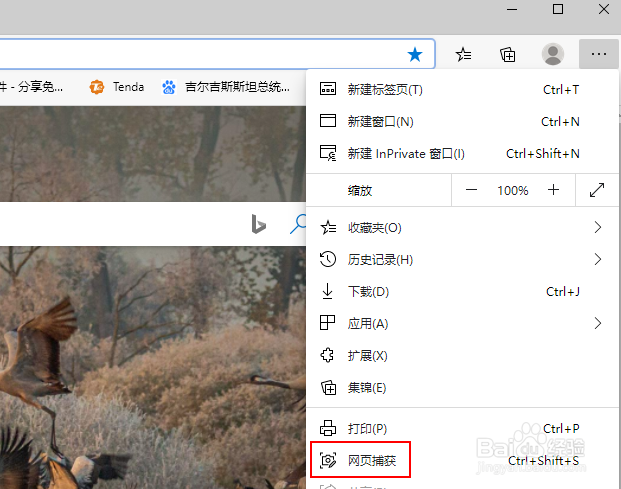 Microsoft Edge浏览器网页捕获如何截屏