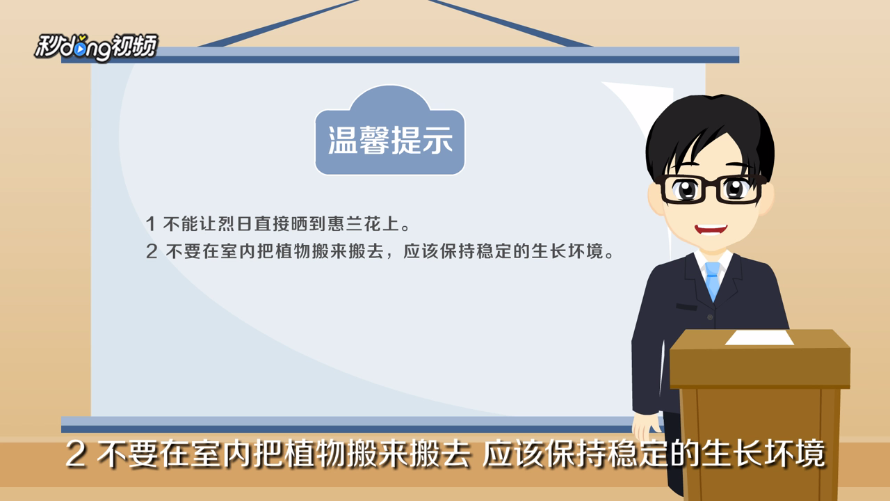 惠兰花怎么养