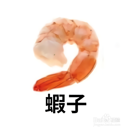 6种蛋白质最高的海鲜？