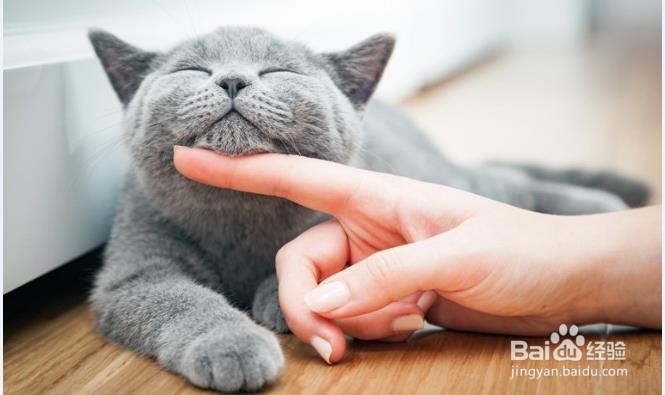 缓解压力的最快方法