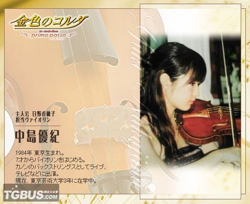 《金色琴弦》系列攻略（三）