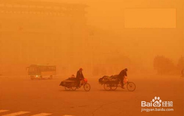 台风过境城市时街道行人交通安全注意事项