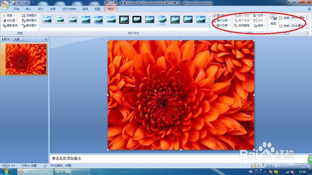 PowerPoint2007如何插入和设置图片