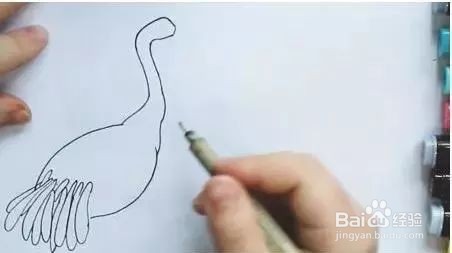 动物 篇——仙气满满的丹顶鹤简笔画