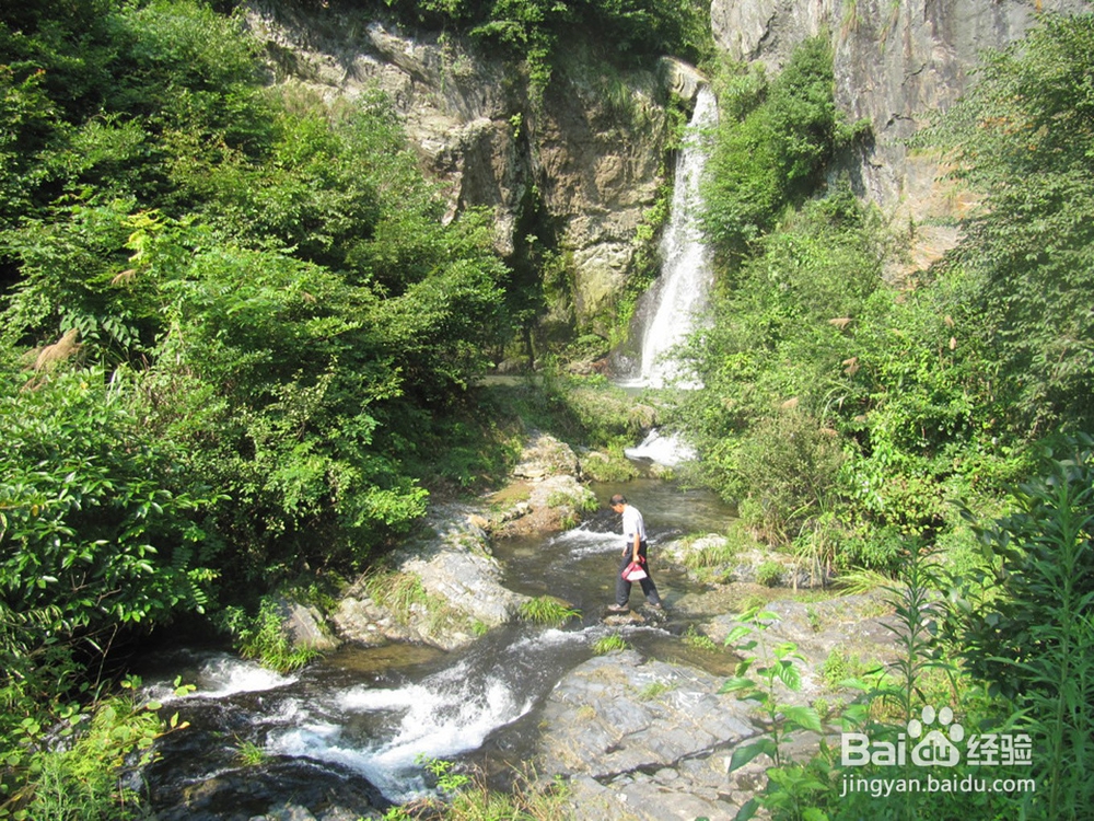 千岛湖旅游记