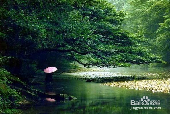 乌海到张家界旅游攻略