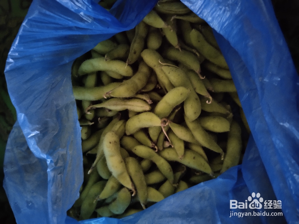 怎么炒毛豆好吃