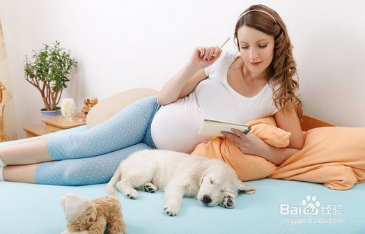 多伦多生子攻略之问题解答