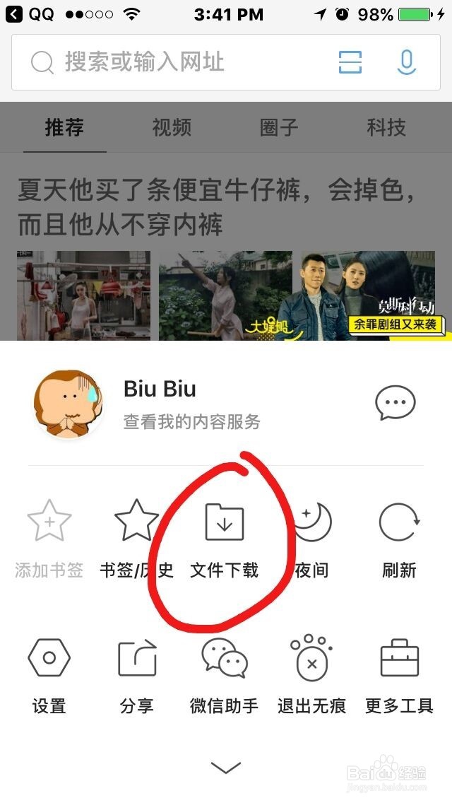 如何将iPhone浏览器中的视频文件下载到电脑