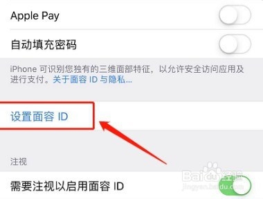 苹果X手机如何设置人脸识别？