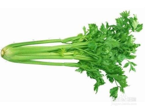 生活中如何选购芹菜