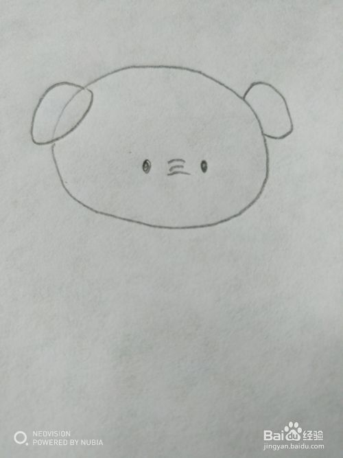可爱又简单的小猪怎么画