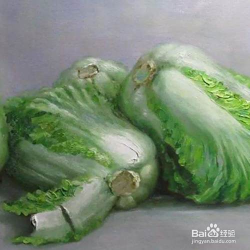 大白菜的管理技术和管理方法 百度经验 大白菜的管理技术和管理方法 百度经验